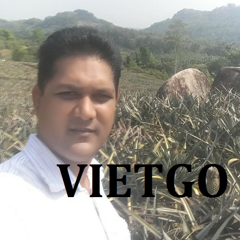 Hành Tây Vietgo