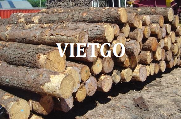 xuất khẩu gỗ